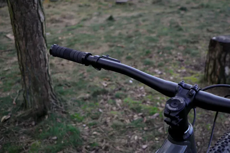 Claud Butler Alpina 2.0 29/-5