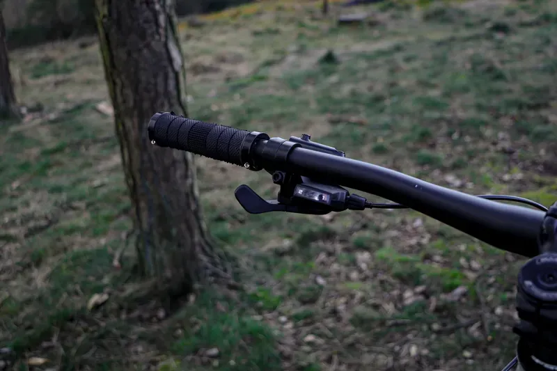 Claud Butler Alpina 1.0 29/-3