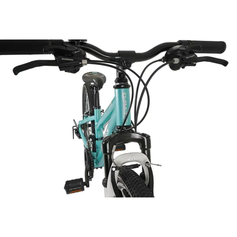 Dawes Kids 24in Paris HT Mountain Bike in Mint-5
