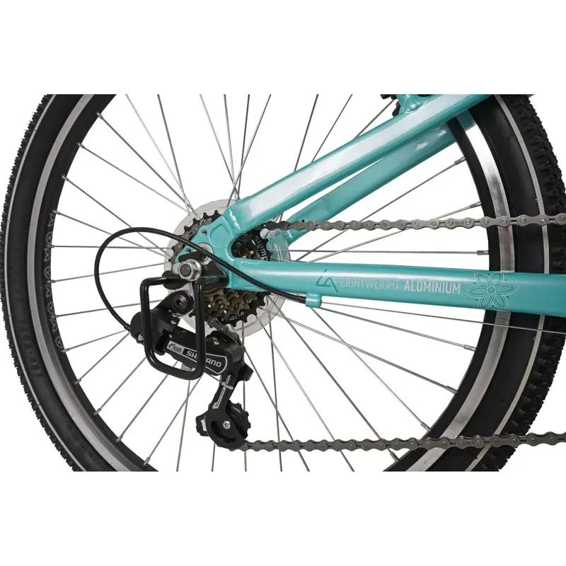 Dawes Kids 24in Paris HT Mountain Bike in Mint-6