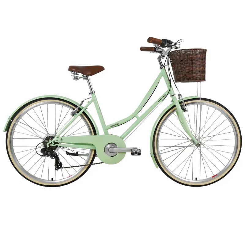 Dawes Cambridge Heritage Bike in Mint