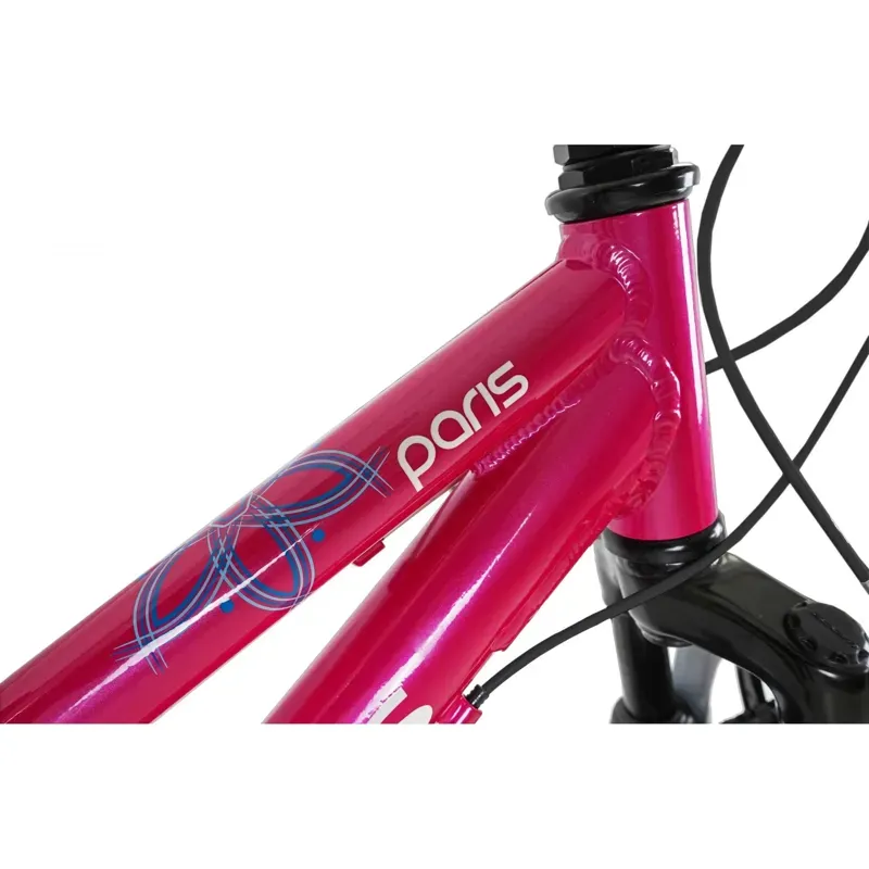 Dawes Kids 20in Paris HT Mountain Bike in Pink-3