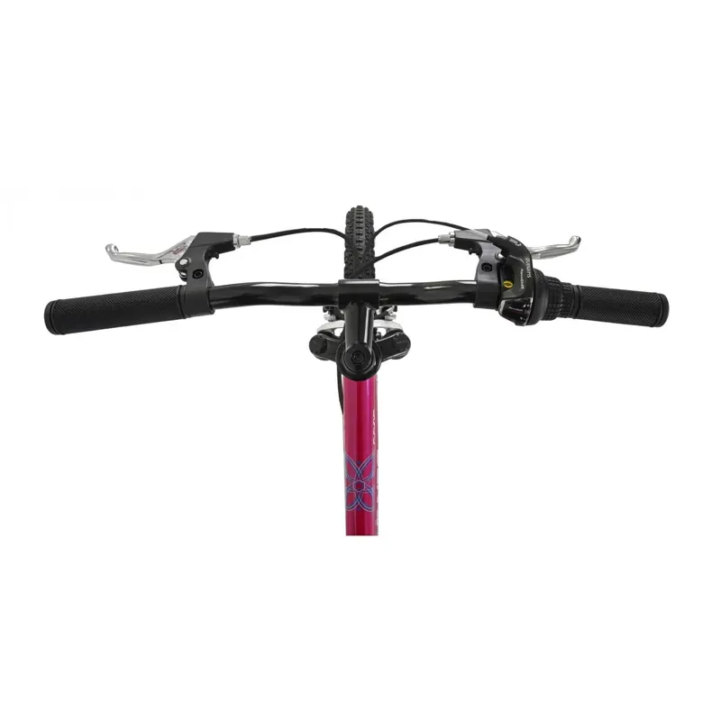 Dawes Kids 20in Paris HT Mountain Bike in Pink-5